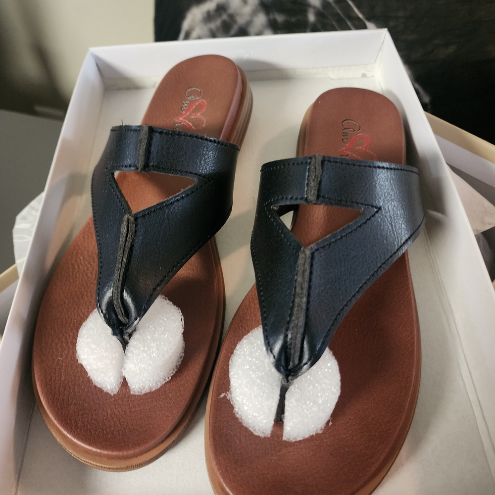 Mia Shoes Black and Brown Sandals Classic Design